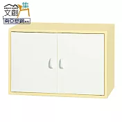 【文創集】雷蒙 環保2尺南亞塑鋼雙開門置物櫃/收納櫃 時尚雙色