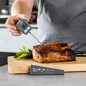 《Taylor》肉品電子探針溫度計 | 食物測溫 烹飪料理 電子測溫溫度計