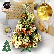 摩達客耶誕-2尺/2呎(60cm)台灣製特仕幸福型裝飾綠色聖誕樹 (香檳雙金系全套飾品)+20燈LED燈插電式暖白光*1/贈控制器/本島免運費