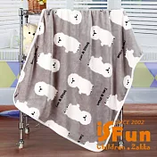 【iSFun】純白比熊犬＊保暖珊瑚絨毛毯/100x72cm 灰