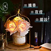 【愛莯】6朵玫瑰花LED夜燈鳥籠架系列(附贈USB充電插頭) 白色大理石紋鳥籠