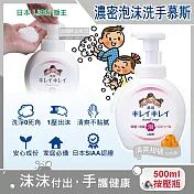 日本 LION 獅王-柔軟綿密泡泡洗手乳(3款可選)500ml/瓶(手部清潔露,植萃濃密泡沫洗手慕斯,花果淡香洗手慕絲,防疫清潔劑按壓瓶) 清爽柑橘(白色頭)