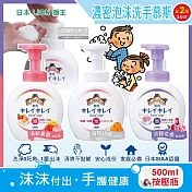 (2瓶任選超值組)日本 LION 獅王-柔軟綿密泡泡洗手乳(3款可選)500ml/瓶(手部清潔露,植萃濃密泡沫洗手慕斯,花果淡香洗手慕絲,防疫清潔劑按壓瓶) 淡雅花香(紫色頭)*2瓶