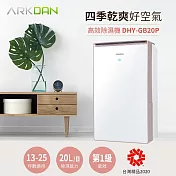 ARKDAN 20L一級能效鏡面高效除濕機 DHY-GB20P