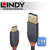 LINDY 林帝 ANTHRA USB 3.2 Gen 2 Type-C/公 to Type-A/公 傳輸線 + PD智慧電流晶片 1m (36911)