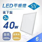 【SY 聲億科技】直下型 40W LED平板燈 全電壓 6片/箱 白光
