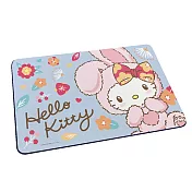Sanrio 三麗鷗 軟式珪藻土吸水地墊 兔年凱蒂 地墊 珪藻土 (60*40*0.5cm) 可愛花兔