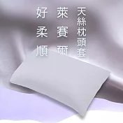 純粹眠|好柔順萊賽爾天絲枕頭套 滑順紫