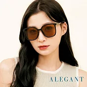 【ALEGANT】南柚棕復古風格輕量橢圓方框墨鏡/UV400太陽眼鏡