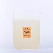 LIVRER 麗芙｜運動專用洗衣精  4L