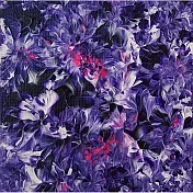 【玲廊滿藝】陳怡蓉Jenny-紫羅蘭系列10x10cm