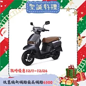 SUZUKI 台鈴機車 SUI 125 七期 _灰色