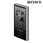 SONY NW-A306 可攜式音訊播放器 Walkman 數位隨身聽 灰色