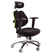 GXG 雙軸枕 雙背電腦椅(鋁腳/摺疊升降扶手) TW-2604 LUA1