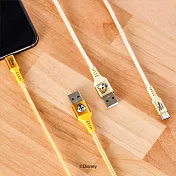 迪士尼 奇奇蒂蒂 Apple iPhone 傳輸充電線 IPOD IPAD 蒂蒂