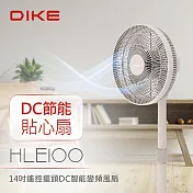 【DIKE】 14吋遙控擺頭DC智能變頻風扇 莫蘭迪色 HLE100PK  粉色