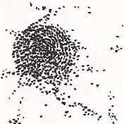 【玲廊滿藝】Zac Xiao-群茫18x18cm