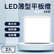 TheLife嚴選 省電LED薄型40W導光板60x60cm 2入(面板燈/輕鋼架燈/天花板燈/平板燈/CNS認證) 4000K自然光