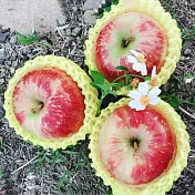 【水果達人】嚴選大顆 紐西蘭蜜蘋果6顆* 2盒(250g/顆)