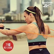 Reebok 可調式掛門拉力繩組(彈力帶 彈力繩)