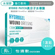 怡適敷EASTDERM -水凝膠傷口敷料 (5片入黏貼範圍210mm x 60mm)1盒入-L長