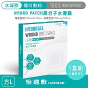 怡適敷EASTDERM -水凝膠傷口敷料 (5片入黏貼範圍130mm x 130mm)1盒入-L方