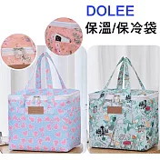 DOLEE 小清新休閒多用途保溫保冷袋 EG48