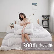 《BUHO》台製300織100%TENCEL純天絲床包枕套三件組-雙人 《卡羅光恆》