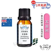 【Amywo艾美窩】純尤加利精油 50ml