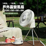 多功能露營風扇 掛扇/桌扇/循環扇 遙控 擺頭 夜燈 附腳架(4000mAh)