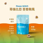 【江鳥咖啡 RiverBird】哥倫比亞 百香颶風 中淺焙咖啡豆（半磅）