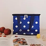 SunnyBag-箱形保冷袋-藍底白點