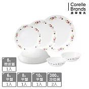 【美國康寧 corelle】花漾派對6件式餐盤組-f15