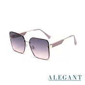 【ALEGANT】輕裸時尚暈染漸層粉質感方框墨鏡/UV400太陽眼鏡