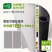 Usii 防霾PM2.5濾淨紗窗網(門用)-85x210cm 2入組