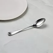 有種創意 - 日本山崎金屬 - ELEGANCE系列 - 不鏽鋼湯匙 (183mm)