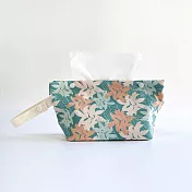 蕨對好抽紙巾套 臺灣原始觀音座蓮