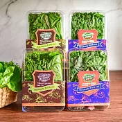 【源鮮智慧農場】羽衣綠拿鐵雙拼組(綜合蔬菜盒*2、羽衣綠拿鐵盒*2)