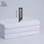 【OKPOLO】台灣製造飯店用浴巾2入組(高級飯店專用) 白色