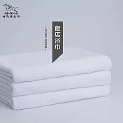 【OKPOLO】臺灣製造飯店用浴巾2入組(高階飯店專用) 白色