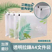 加厚磨砂透明拉錬A4文件袋 (超值5入)