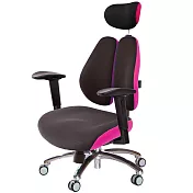 GXG 雙背DUO KING 工學椅(鋁腳/2D滑面升降扶手) TW-3006 LUA2J