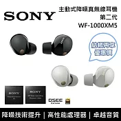 SONY 索尼 WF-1000XM5 主動式降噪 真無線入耳式耳機 台灣公司貨 黑色