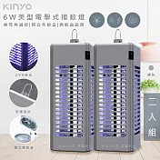 【KINYO】6W電擊式UVA燈管捕蚊燈/滅蚊燈(KL-9644)可吊掛/捕蚊小教室-2入組- 銀灰2入