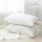 GOLDEN-TIME-抗菌壓縮枕(46x68cm) 買一送一