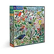 eeBoo 1000片拼圖 - 蘇格蘭鳥 ( Birds of Scotland 1000 Piece Puzzle )