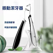 CS22 VIBRATION 高效多功能電動潔牙沖牙器2色 黑色