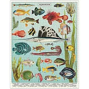 美國 Cavallini & Co. 1000片拼圖  海底世界