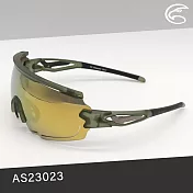 ADISI 偏光太陽眼鏡 AS23023 / 城市綠洲 (墨鏡 抗UV 防紫外線 防眩光) 透明霧綠框/茶色片+金色REVO鍍膜