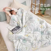 【DUYAN 竹漾】雙溫感 石墨烯天絲四季被 / 台灣製 香氛藍冉